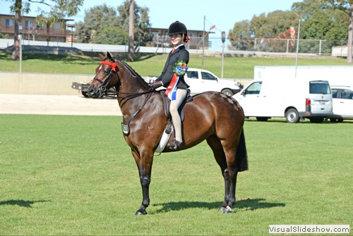 Rider of the Year 12,13 & 14   Kate Kyros on �Kolbeach Hollys Diamond� 