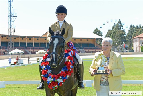 Shauna Chaplin on Large Show Hunter Galloway of the Year �Lancefield Park Rajah� 