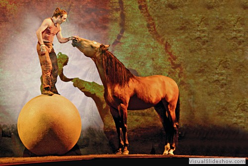 The Ball