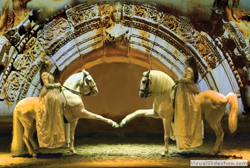 Le Miroir