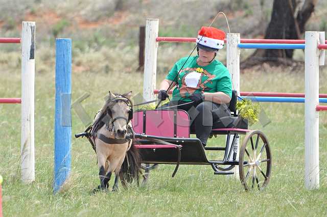 K210_0802.JPG - Photo by KANGRA