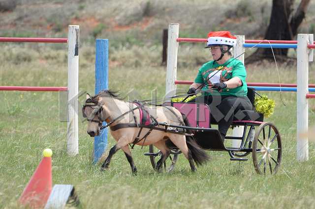 K210_0806.JPG - Photo by KANGRA