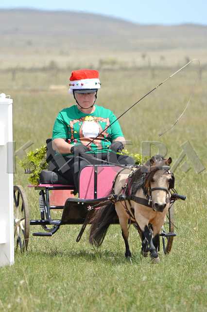 K210_0815.JPG - Photo by KANGRA