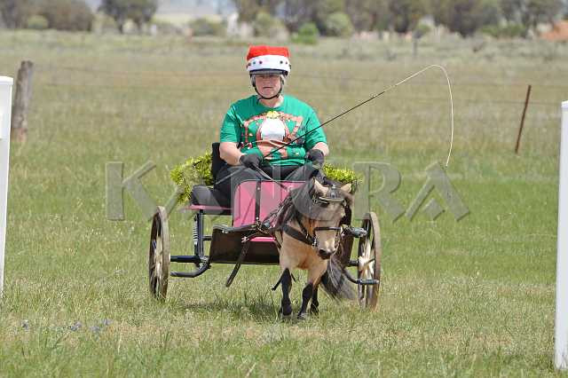 K210_0830.JPG - Photo by KANGRA