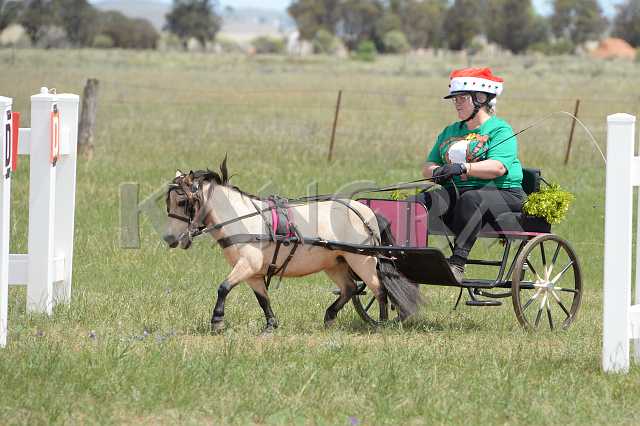 K210_0834.JPG - Photo by KANGRA