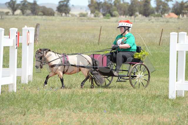 K210_0836.JPG - Photo by KANGRA