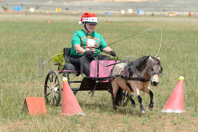 K210_0842.JPG - Photo by KANGRA