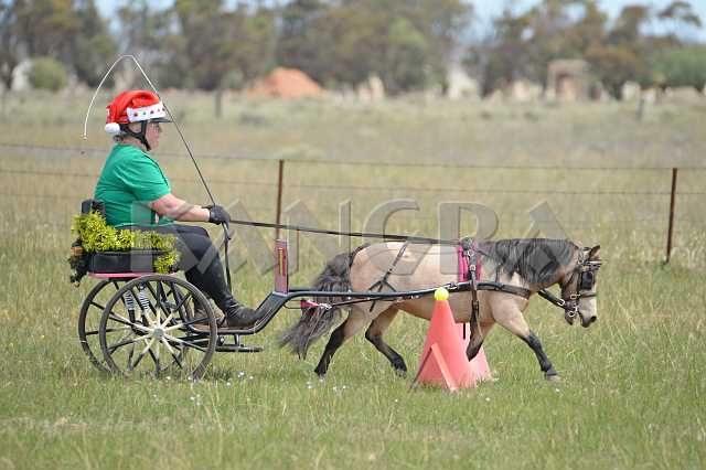 K210_1295.JPG - Photo by KANGRA