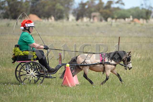 K210_1297.JPG - Photo by KANGRA