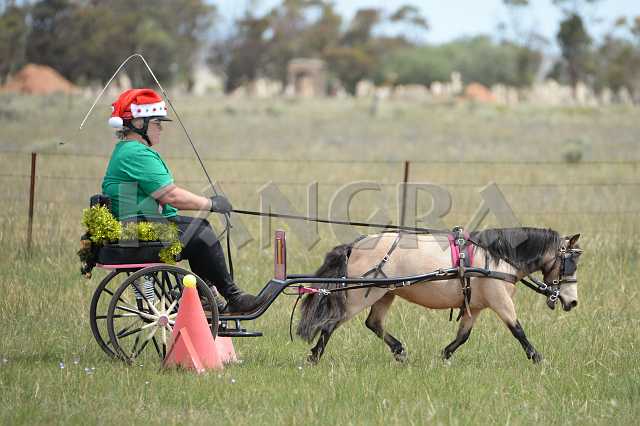 K210_1299.JPG - Photo by KANGRA