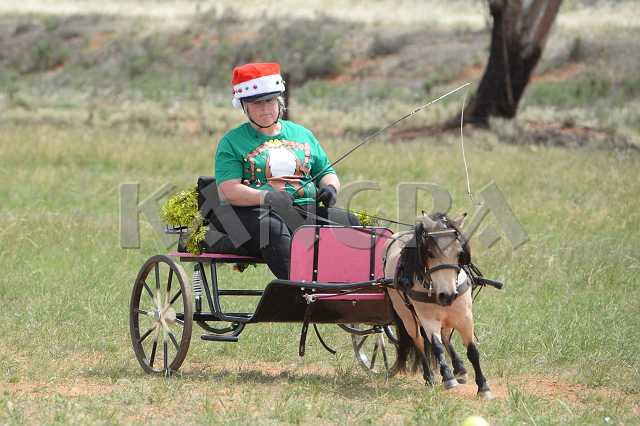 K210_1303.JPG - Photo by KANGRA