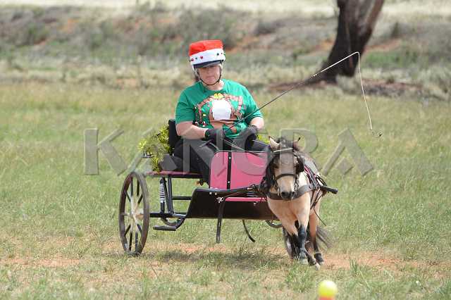 K210_1305.JPG - Photo by KANGRA