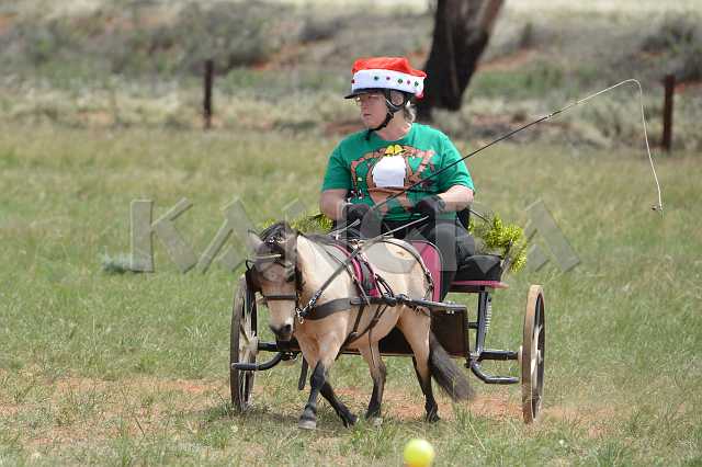 K210_1311.JPG - Photo by KANGRA