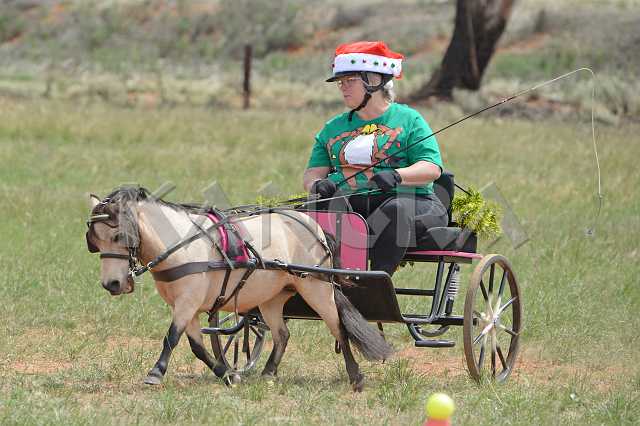 K210_1315.JPG - Photo by KANGRA