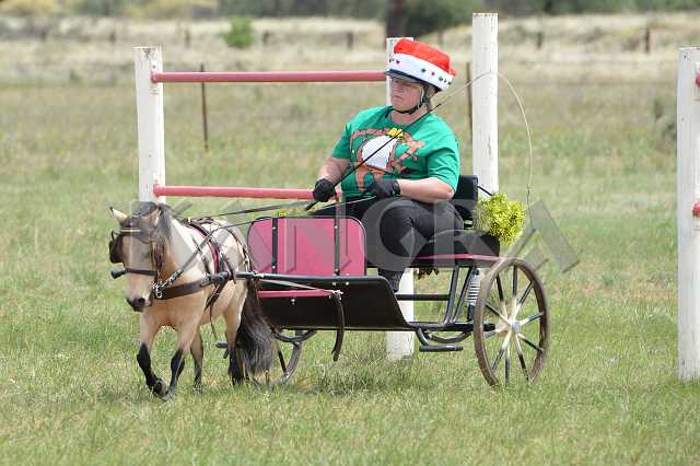 K210_1321.JPG - Photo by KANGRA