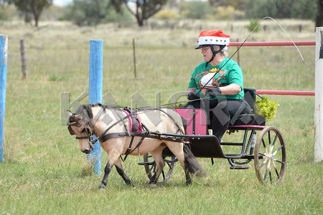 K210_1325.JPG - Photo by KANGRA