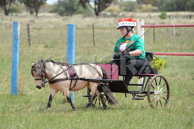 K210_1327.JPG - Photo by KANGRA