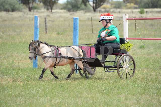 K210_1329.JPG - Photo by KANGRA