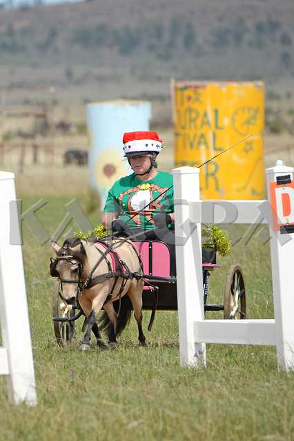 K210_1336.JPG - Photo by KANGRA