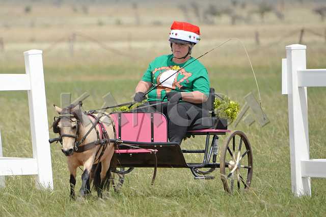 K210_1343.JPG - Photo by KANGRA