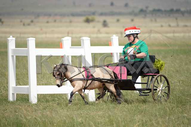 K210_1351.JPG - Photo by KANGRA