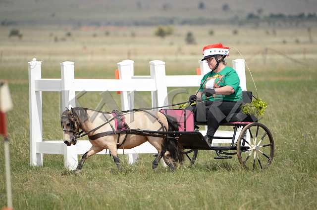 K210_1353.JPG - Photo by KANGRA