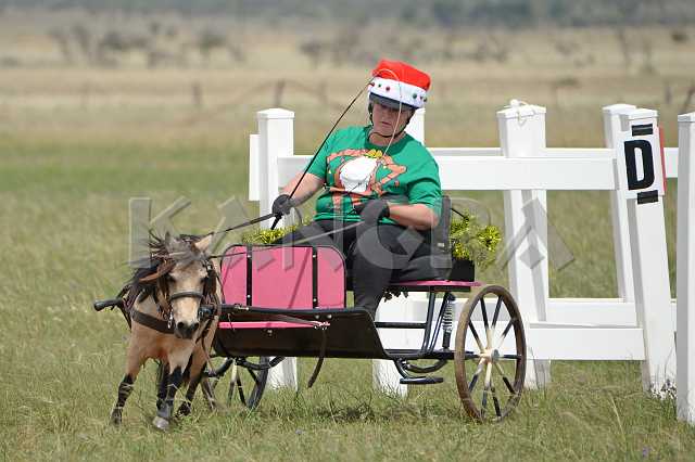 K210_1362.JPG - Photo by KANGRA