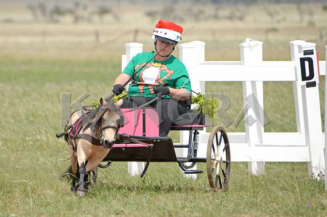 K210_1364.JPG - Photo by KANGRA