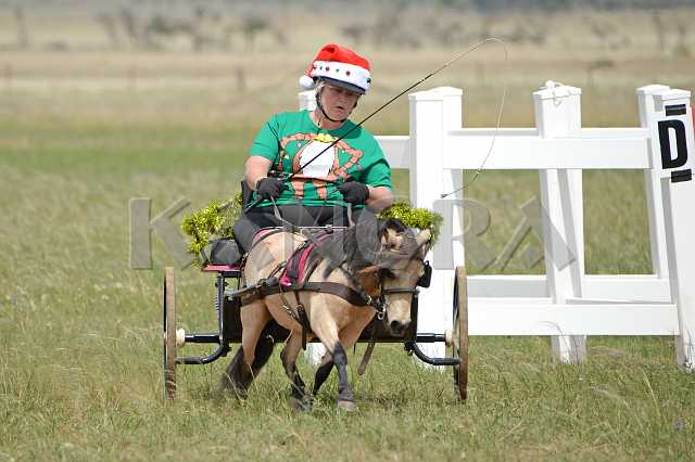 K210_1368.JPG - Photo by KANGRA