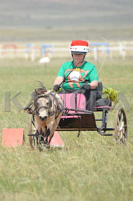 K210_1376.JPG - Photo by KANGRA