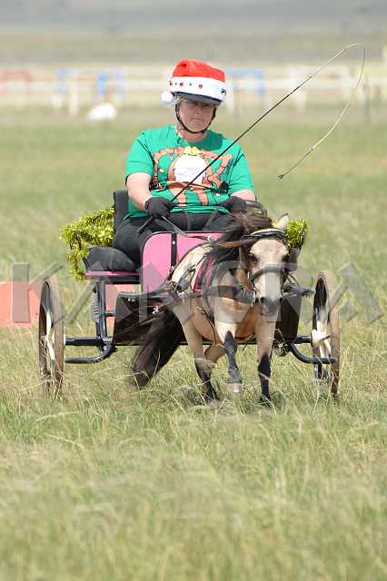 K210_1377.JPG - Photo by KANGRA