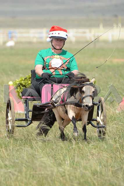 K210_1381.JPG - Photo by KANGRA