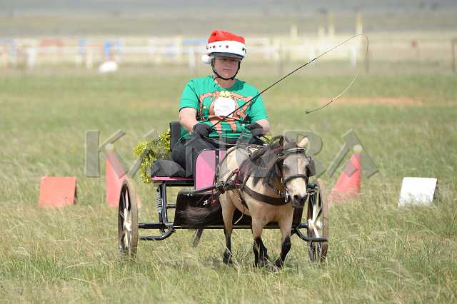 K210_1383.JPG - Photo by KANGRA