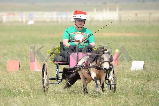 K210_1385.JPG - Photo by KANGRA