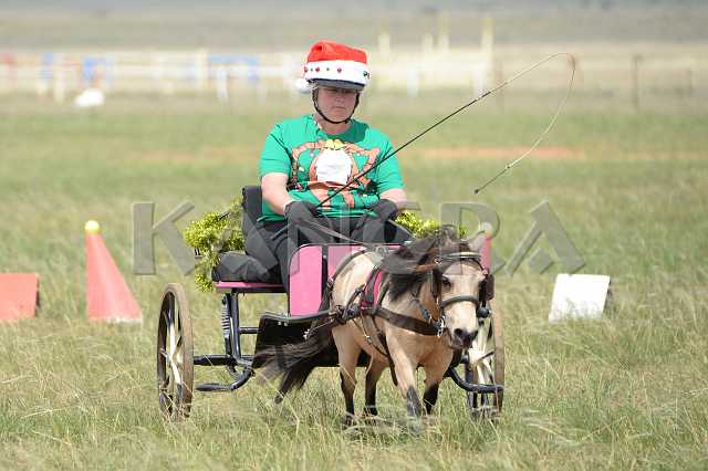 K210_1386.JPG - Photo by KANGRA