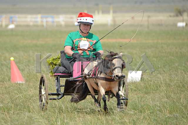 K210_1388.JPG - Photo by KANGRA