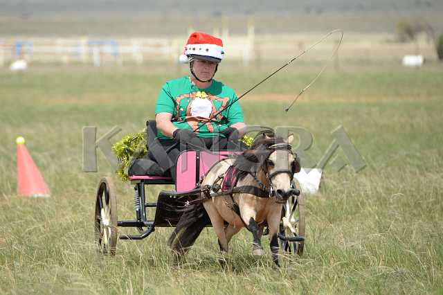 K210_1389.JPG - Photo by KANGRA