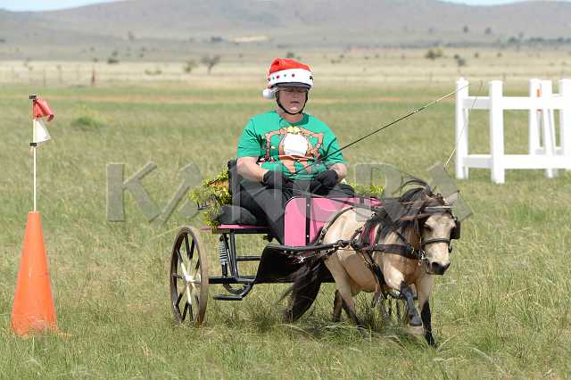 K210_1393.JPG - Photo by KANGRA