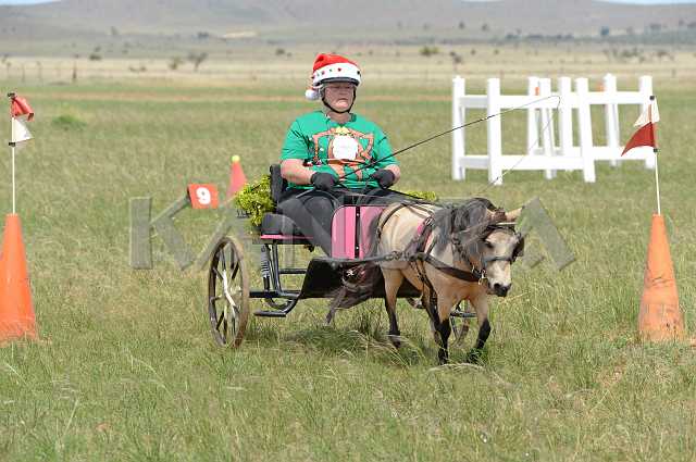 K210_1395.JPG - Photo by KANGRA