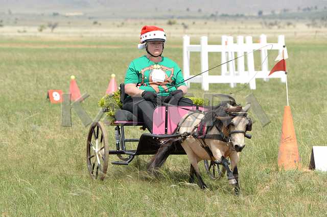 K210_1397.JPG - Photo by KANGRA