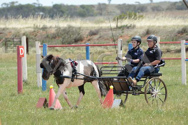 K210_0850.JPG - Photo by KANGRA