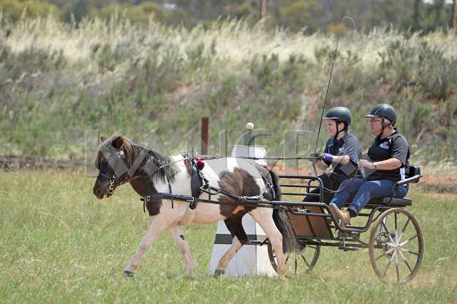 K210_0857.JPG - Photo by KANGRA