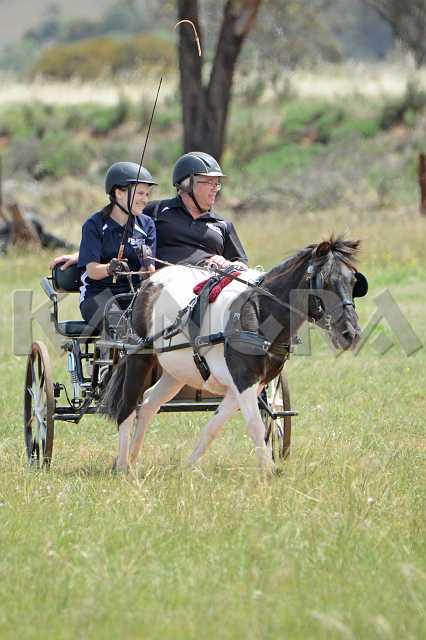 K210_0861.JPG - Photo by KANGRA