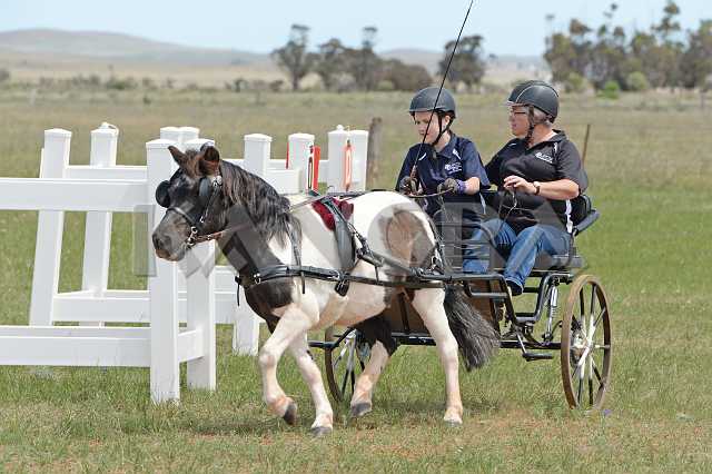 K210_0879.JPG - Photo by KANGRA