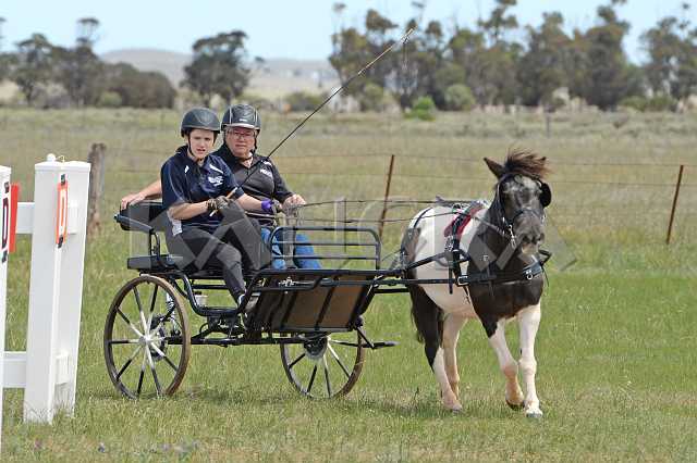 K210_0883.JPG - Photo by KANGRA