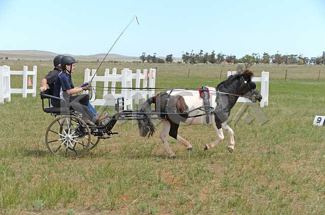 K210_0918.JPG - Photo by KANGRA