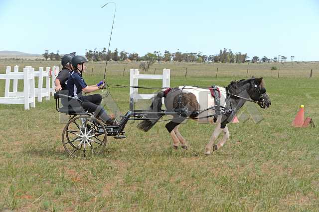 K210_0922.JPG - Photo by KANGRA