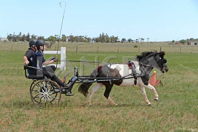 K210_0924.JPG - Photo by KANGRA