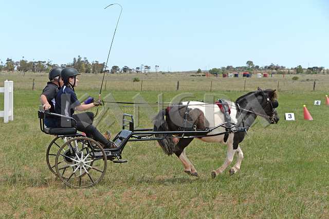 K210_0927.JPG - Photo by KANGRA