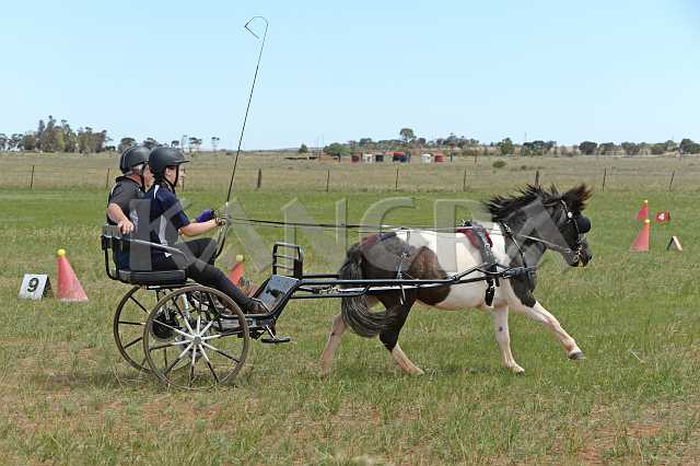 K210_0929.JPG - Photo by KANGRA